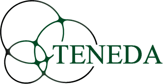 Teneda Logo